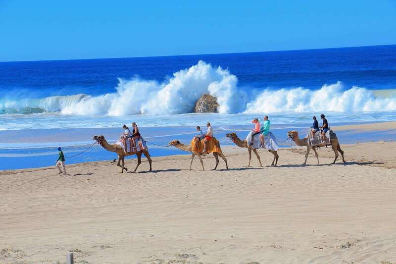Cabo San Lucas: Camel Ride & Off-Road UTV Combo Adventure - Guides make a real difference