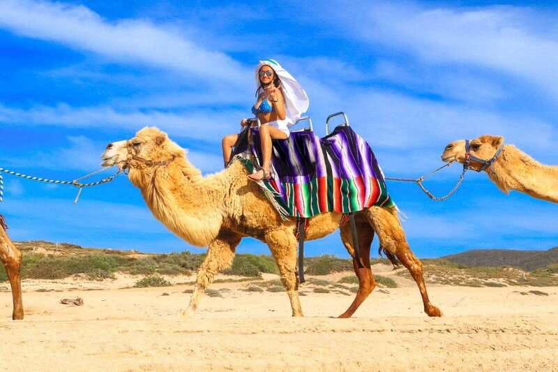 Cabo San Lucas: Camel Ride & Off-Road UTV Combo Adventure - What the $118 price really covers