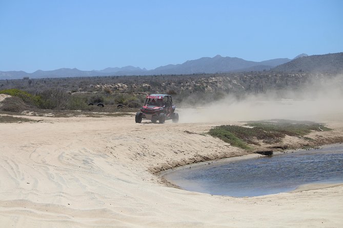 Cabo Wild Desert Tour, Polaris ATV or Razor Single, Double, Triple or Quad! - Is the $20 park fee worth factoring into the price?