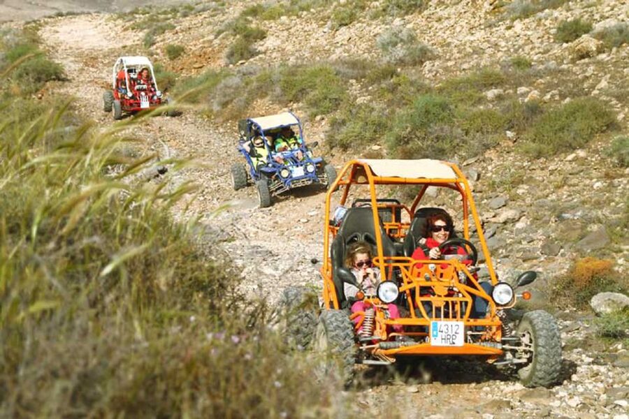 Caleta De Fuste: Guided Buggy Explorer Tour - The price and what you get for it