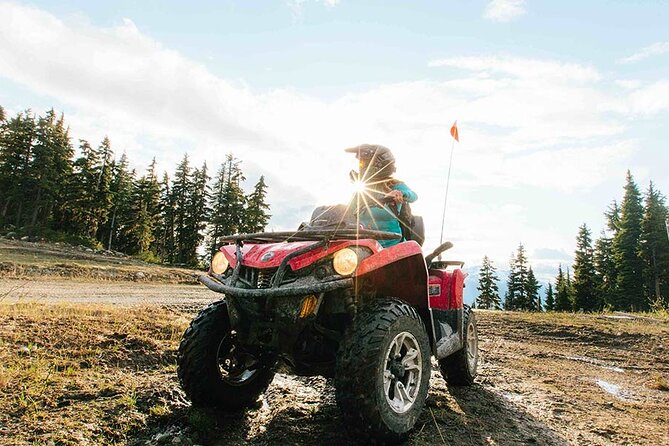 Call of the Wild ATV Tour - Mountain Viewpoints Above the Trees