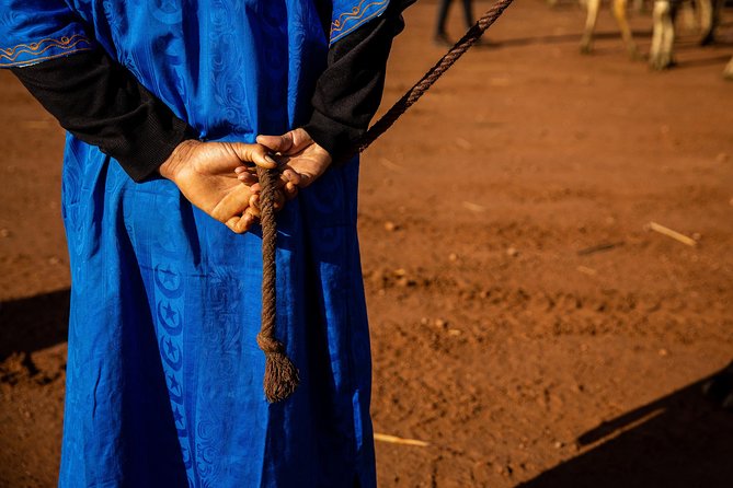 Camel and Quad Biking Tour from Marrakech - Is $98.48 a fair price?