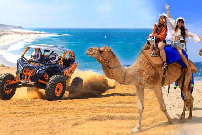 Camel Ride and UTV Combo Adventure, with Tequila Tasting - Key things to know before booking