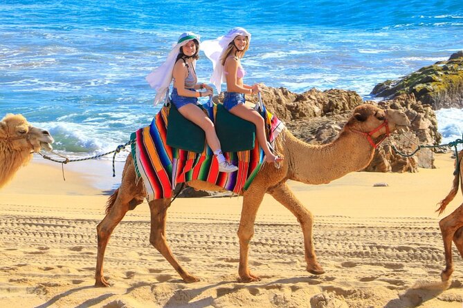 Camel Ride and UTV Combo Adventure, with Tequila Tasting - Two Baja adventures in one afternoon