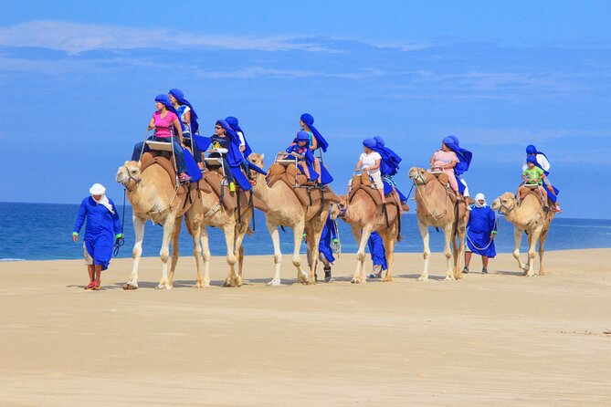 Camel Ride and UTV Combo Adventure, with Tequila Tasting - What the extra charges mean for value