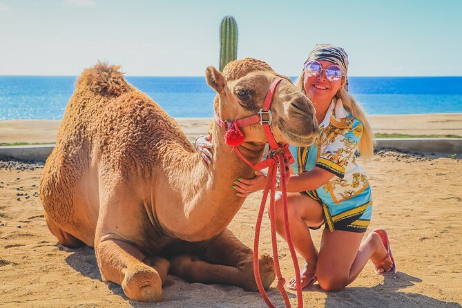 Camel Ride and UTV Combo Adventure, with Tequila Tasting - Who should book this Cabo adventure?