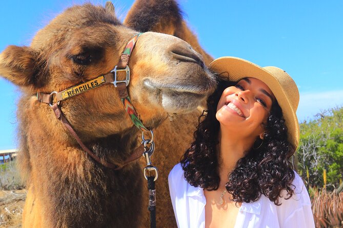 Camel Ride and UTV Combo Adventure, with Tequila Tasting - Starting with camels at Rancho de Migriño
