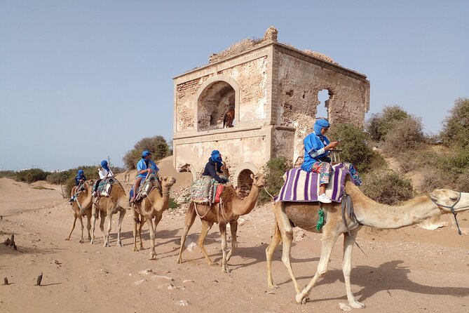 Camel ride or quad bike ride.. pick up, drop off. including - What the Route Adds Beyond a Beach Loop