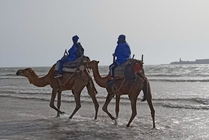 Camel ride or quad bike ride.. pick up, drop off. including - Sunset, Photos, and Traditional Clothing