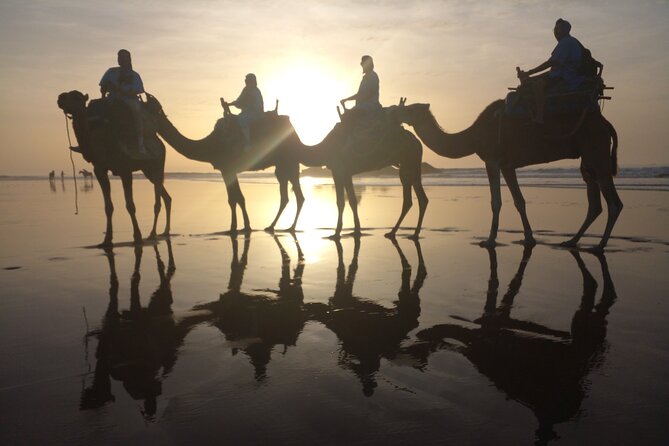Camel ride or quad bike ride.. pick up, drop off. including - Is $22.10 a Good Price?