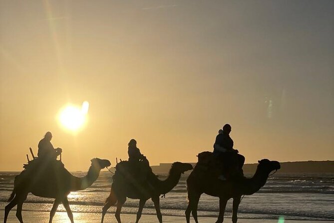 Camel ride or quad bike ride.. pick up, drop off. including - What Riding the Camel Feels Like