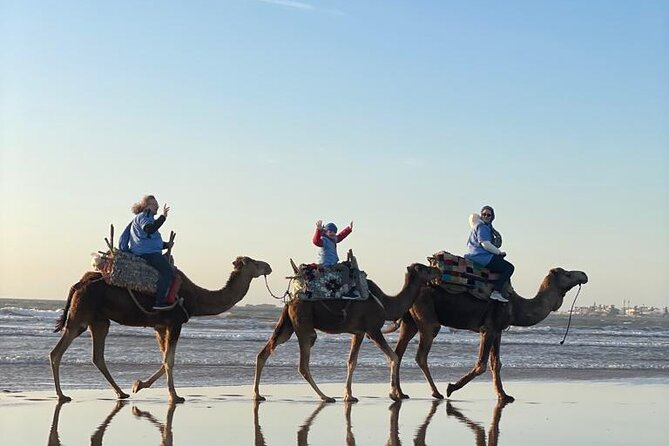 Camel ride or quad bike ride.. pick up, drop off. including - Who Will Enjoy This Most?