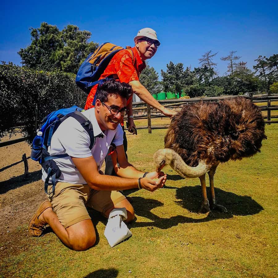 CAPE TOWN: OSTRICH RANCH QUAD BIKE RIDE & OSTRICH TOUR - The scenery beyond the handlebars