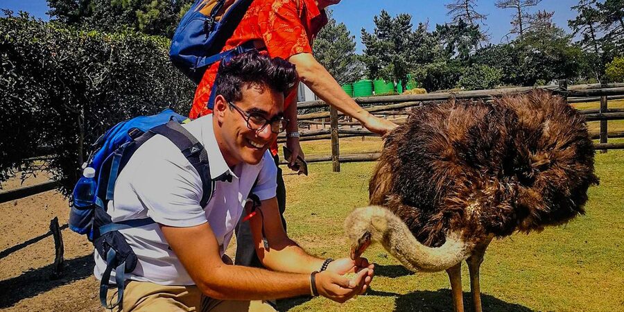 CAPE TOWN: OSTRICH RANCH QUAD BIKE RIDE & OSTRICH TOUR - How to prepare for the two hours