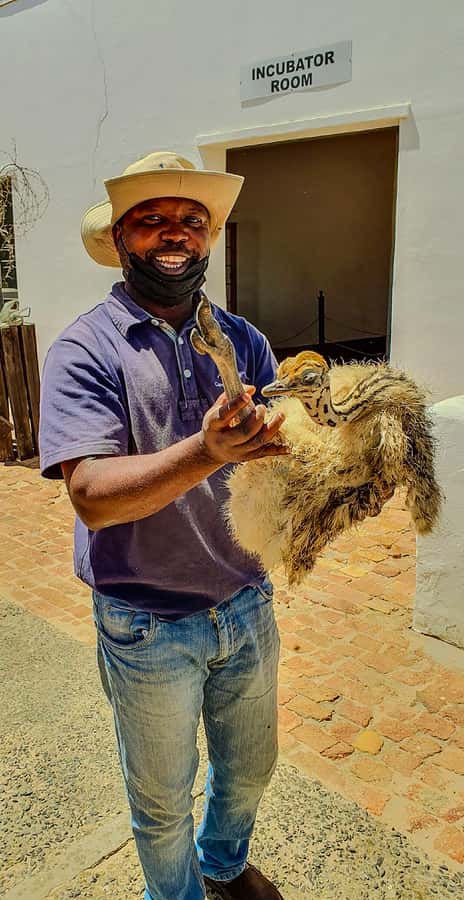 CAPE TOWN: OSTRICH RANCH QUAD BIKE RIDE & OSTRICH TOUR - What the quad bike ride is really like