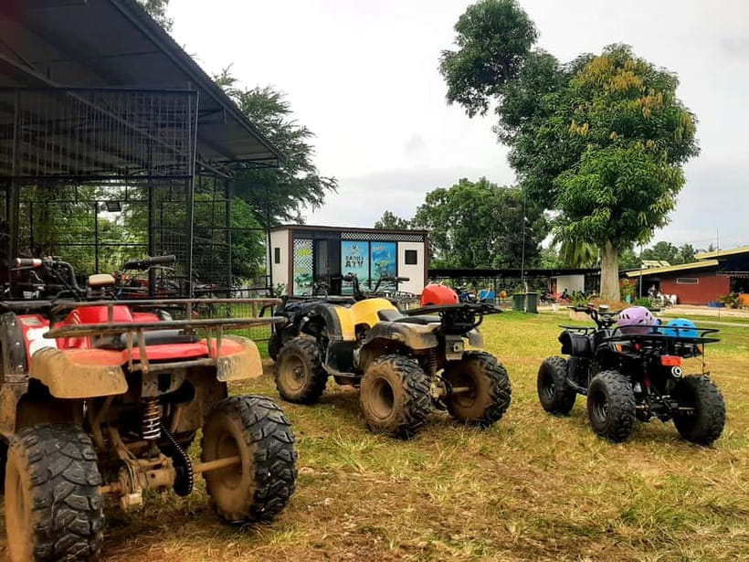 Cebu: Moalboal Snorkeling, Mantayupan Falls & ATV Adventure - Why Moalboal’s sardine run deserves the early start