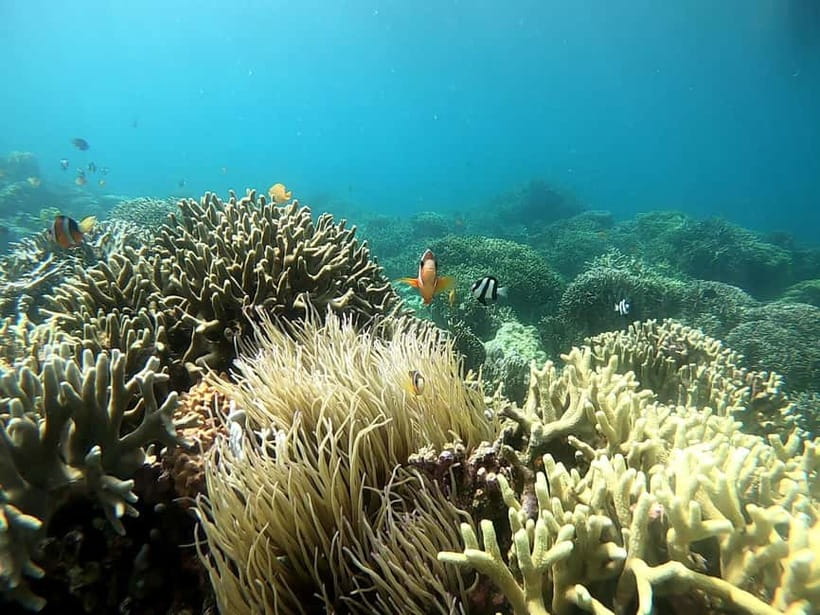 Cebu: Moalboal Snorkeling, Mantayupan Falls & ATV Adventure - Barili by ATV, with mud and changing bike availability