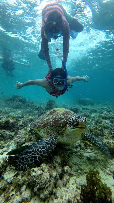 Cebu: Moalboal Snorkeling, Mantayupan Falls & ATV Adventure - Lunch in Carcar and the value of the package