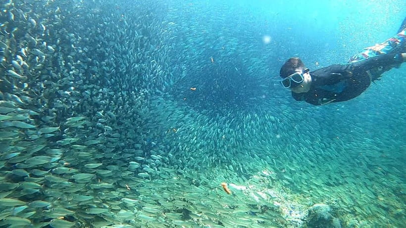 Cebu: Moalboal Snorkeling, Mantayupan Falls & ATV Adventure - What the $117 price really covers