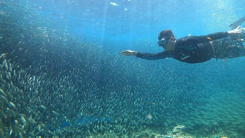 Cebu: Sardine Run Snorkeling, Mantayupan Falls & ATV Thrills - Mantayupan Falls brings a calmer hour