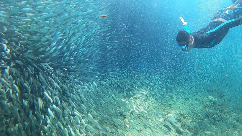 Cebu: Sardine Run Snorkeling, Mantayupan Falls & ATV Thrills - Barili ATV riding is a short burst of action