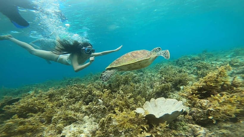 Cebu: Sardine Run Snorkeling, Mantayupan Falls & ATV Thrills - What the $103 price really covers