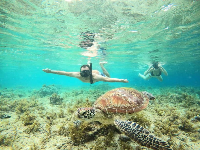 Cebu: Sardine Run Snorkeling, Mantayupan Falls & ATV Thrills - Breakfast comes after the water
