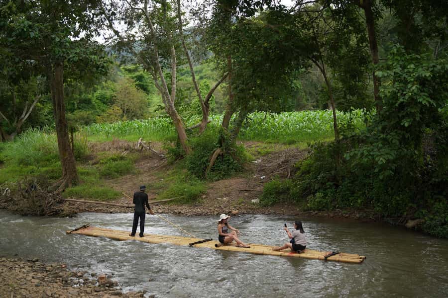 Chiang Mai: ATV Adventure 2-Hrs,Feeding,Rafting & Lunch Trip - Elephant feeding with a personal connection