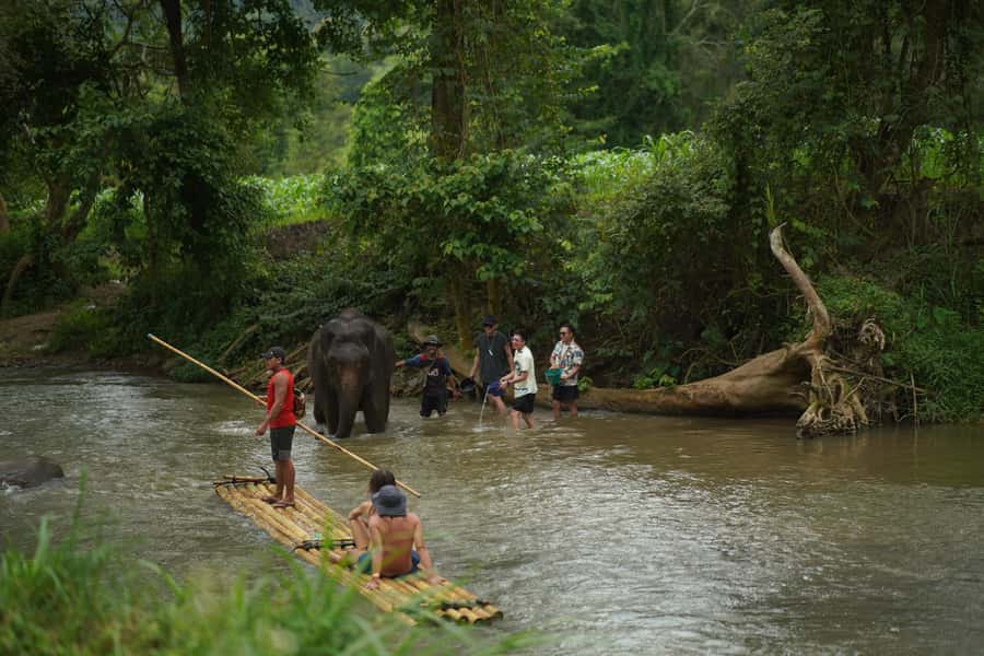 Chiang Mai: ATV Adventure 2-Hrs,Feeding,Rafting & Lunch Trip - What the $84 price covers