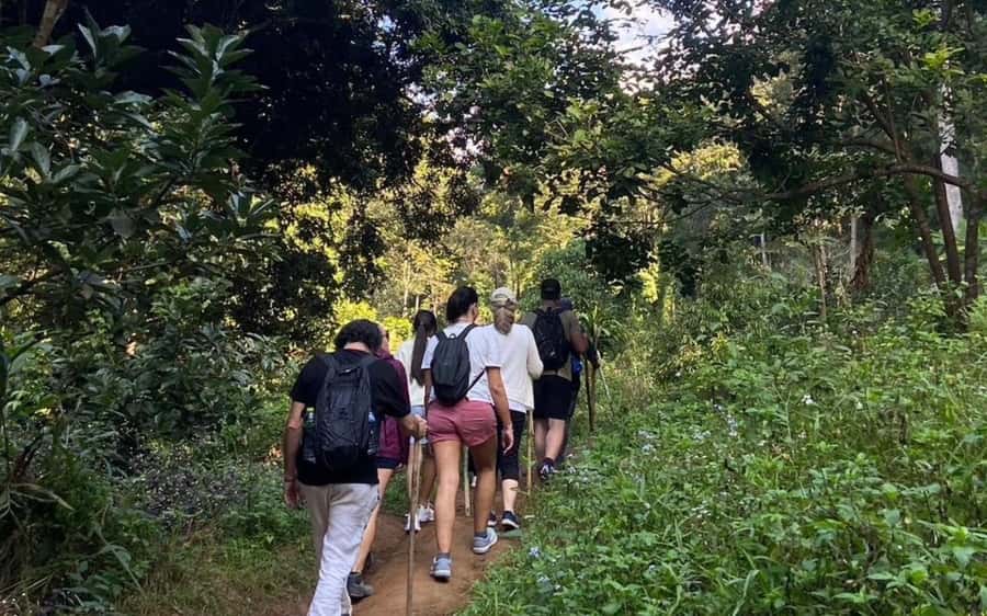 Chiang Mai: ATV Adventure, Jungle Hike & White Water Rafting - Rafting 5 kilometers at Kaeng Kuet