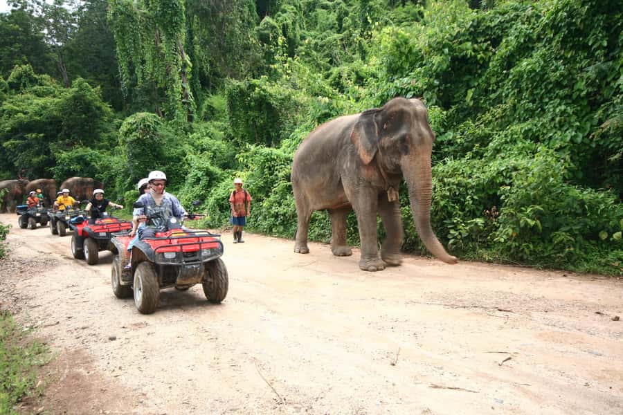 Chiang Mai : ATV Tour - Road, forest, and off-road riding