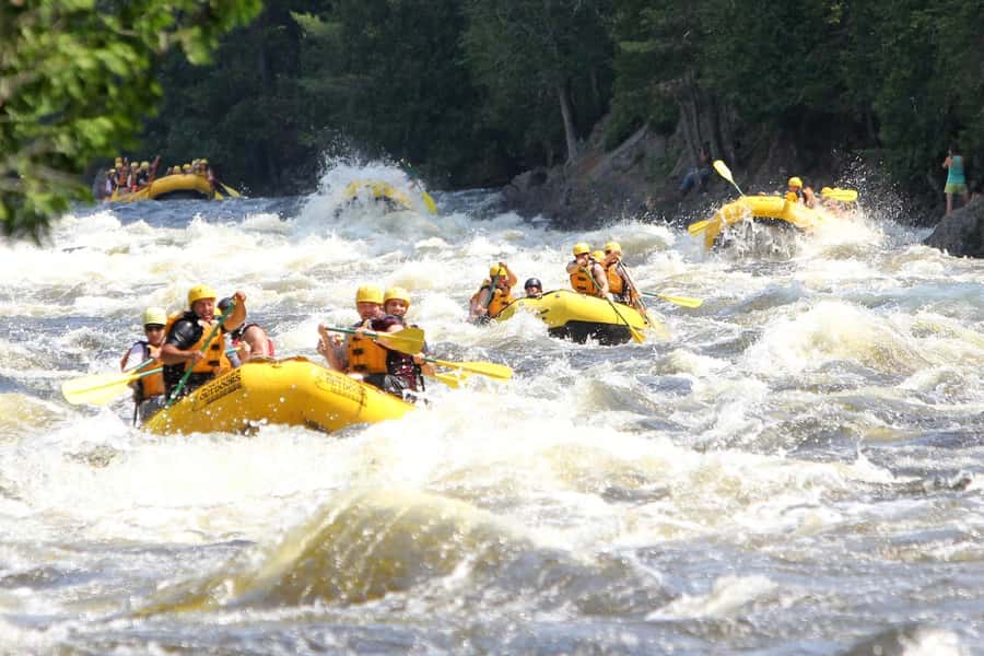 Chiang Mai ATV & White Water Rafting & Trekking to Waterfall - The morning minivan ride and briefing