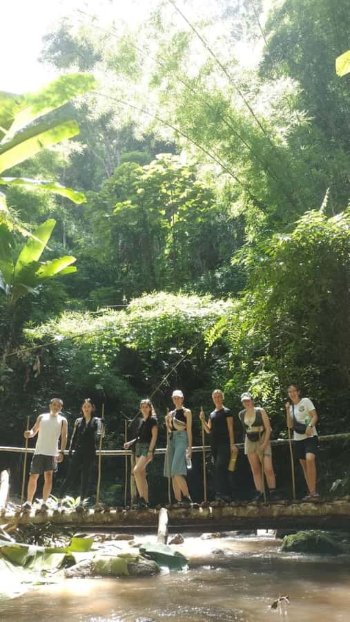 Chiang Mai ATV & White Water Rafting & Trekking to Waterfall - Thai lunch and a useful reset