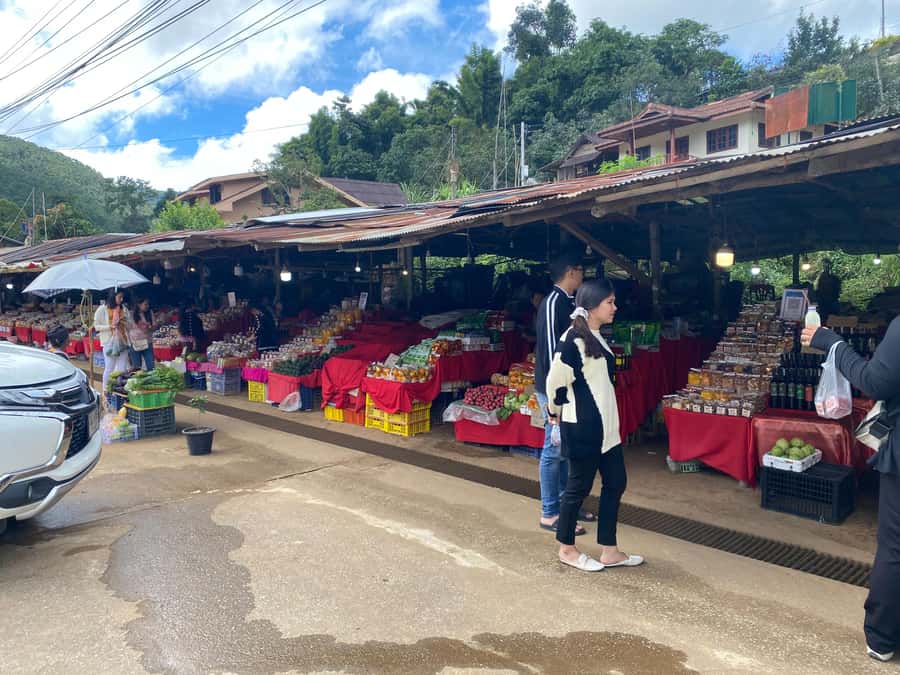 Chiang Mai: Doi Inthanon Explore & ATV Adventure - Lunch at the ATV base