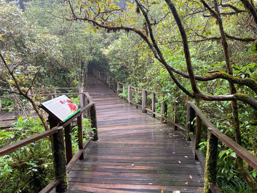 Chiang Mai: Doi Inthanon Explore & ATV Adventure - Market time is short but useful