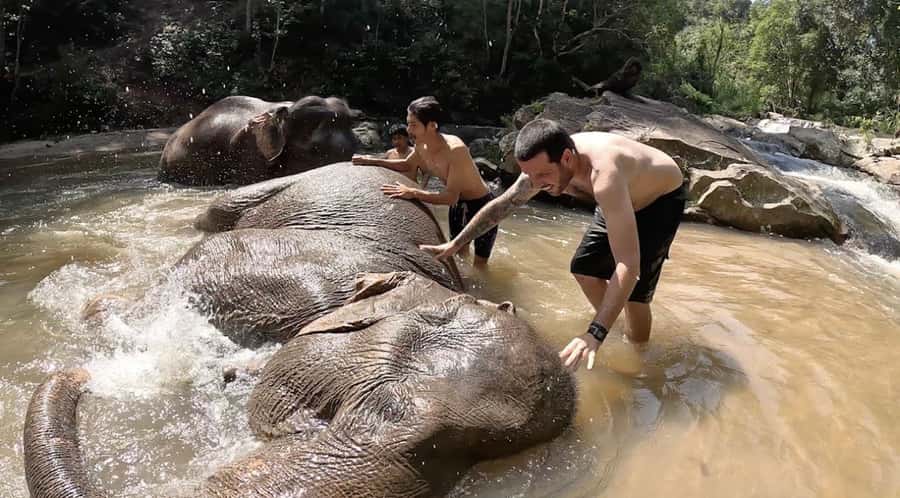 Chiang Mai : Ethical Elephant Sanctuary and ATV Adventure - Meeting the elephants at Living Green Elephant Sanctuary