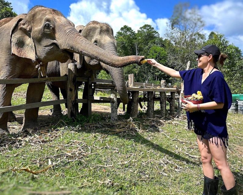 Chiang Mai : Ethical Elephant Sanctuary and ATV Adventure - Walking to the river and caring for the elephants