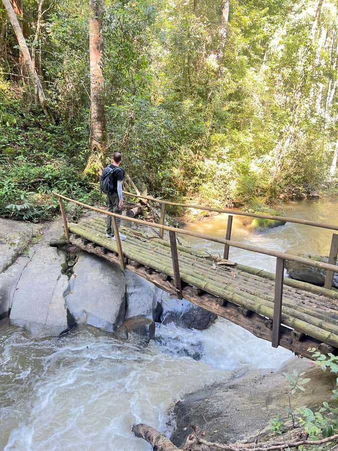 Chiang Mai : Ethical Elephant Sanctuary and ATV Adventure - Lunch with a local flavor