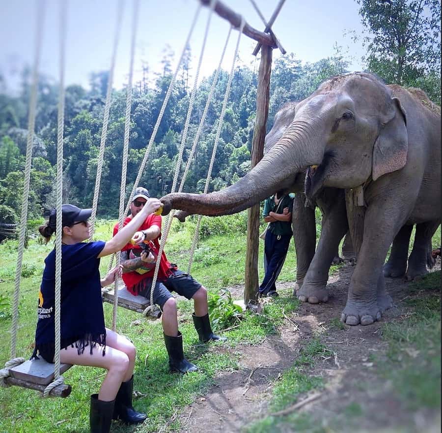 Chiang Mai : Ethical Elephant Sanctuary and ATV Adventure - The ATV ride through Inthanon Paradise