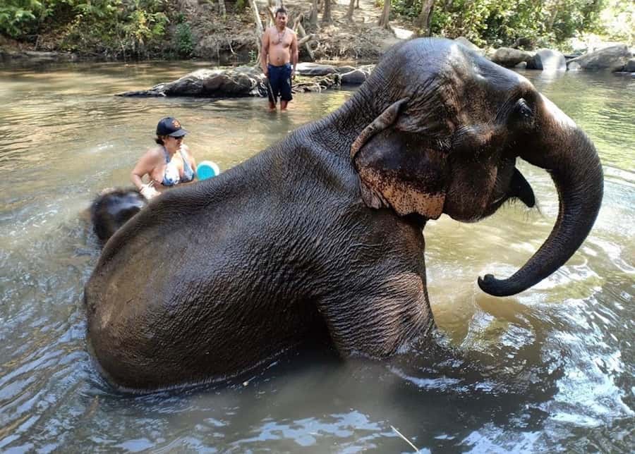 Chiang Mai : Ethical Elephant Sanctuary and ATV Adventure - How difficult is the ATV section?