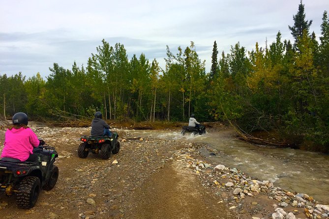 Classic ATV Adventure with Back Country Dining - A three-hour ride into the Healy backcountry