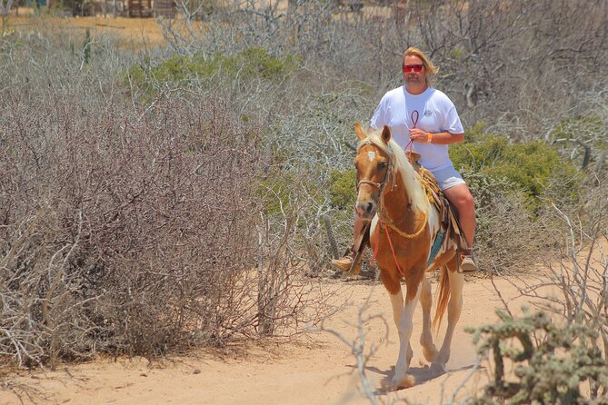 Combined ATV and Horseback Ride/Tequila Tasting - Two Cabo experiences in one afternoon