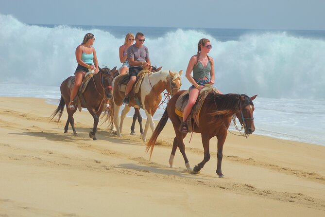 Combined ATV and Horseback Ride/Tequila Tasting - Who will enjoy this outing most