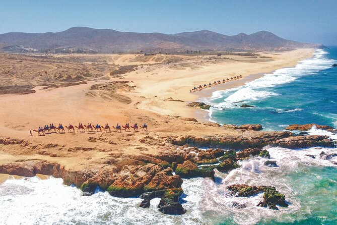 Combo 4x4 Automatic ATV and Camel Ride Tour in Cabo San Lucas - Who will enjoy this Cabo combo most