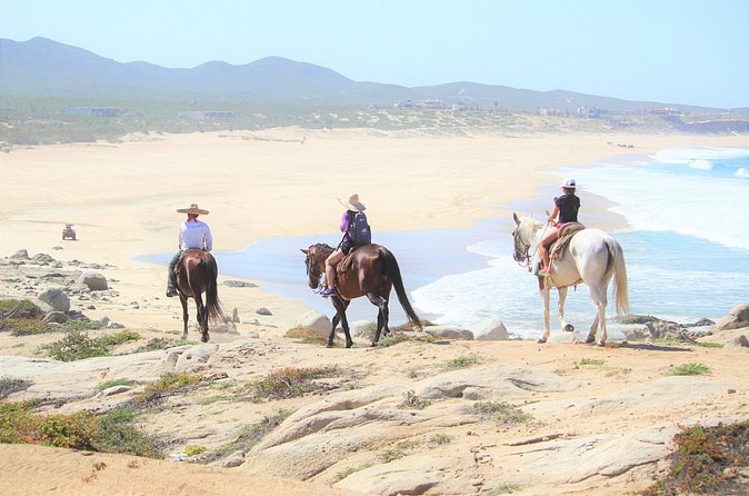 Combo Adventure with RZR and ATV or HBR and Tequila Tasting - Price, extra fees, and real value