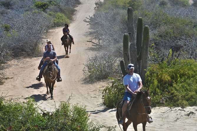 Combo Double Utv + Horses - Taking the double-seat UTV into the desert