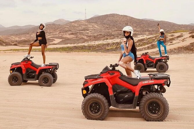 Combo Horseback Beach Ride & ATV Adventure. Tequila Tasting - Photos, animals, and the Baja setting