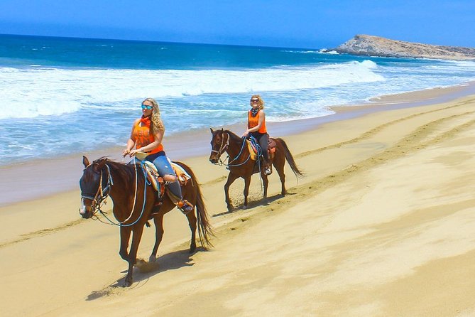 COMBO Horseback Riding & UTV Tour - Why this combo works for a Cabo day
