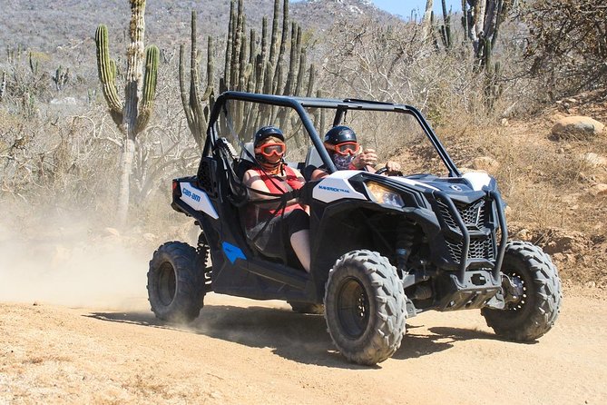 COMBO Horseback Riding & UTV Tour - The horse ride: one quiet hour outdoors