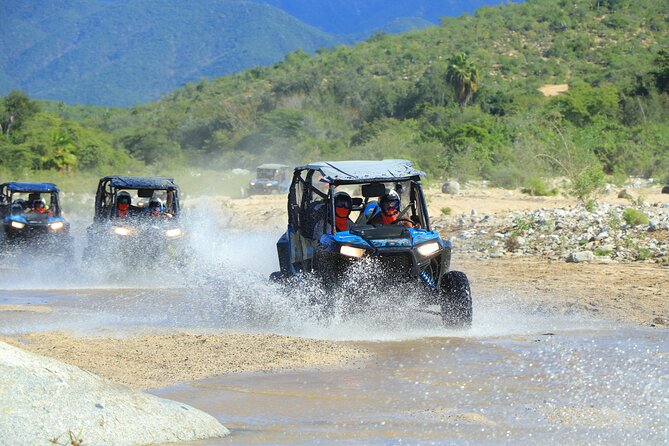 Combo Single Offroad 4x4 UTV, Camel Ride, Lunch & Tequila Tasting - A calmer change of pace at the Camel Ranch